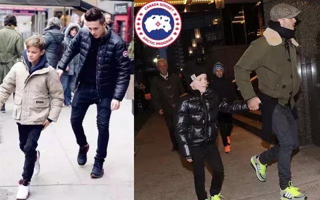 加拿大鹅什么时候涨价,加拿大鹅哭了的视频