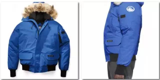 加拿大鹅什么时候涨价,加拿大鹅哭了的视频