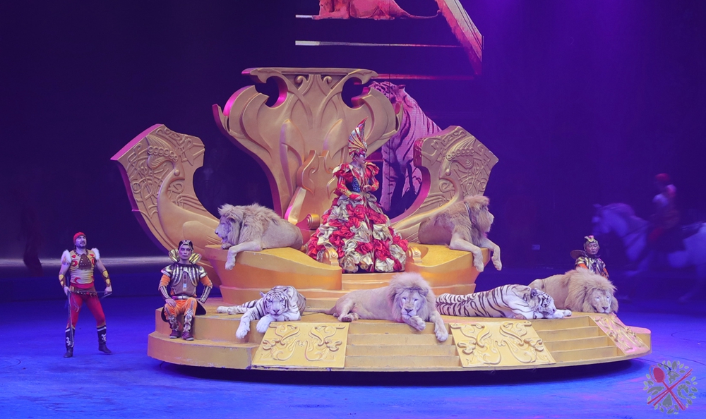 广州长隆四个乐园攻略,国庆长隆二日游