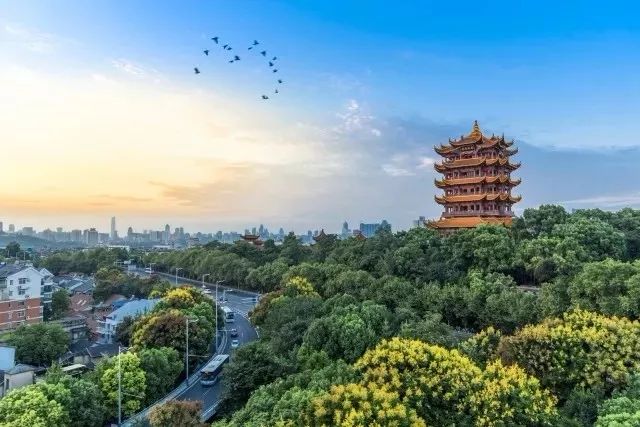 以华中师大为坐标原点,丈量大武汉