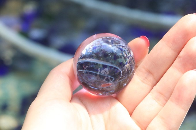 佛山禅城旅游攻略三天两夜,佛山禅城一日游攻略自由行