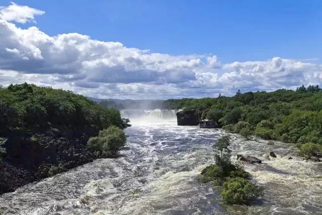 今年的新蜜来了~你见过洁白如雪,甜而不腻,像奶油一样可以直接舀着吃的蜂蜜吗?