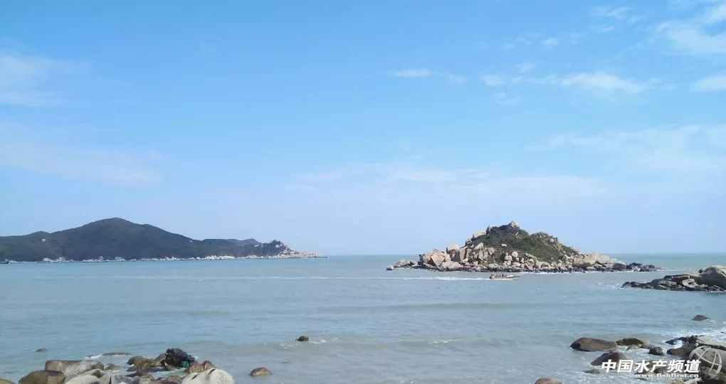 最好吃的生鱼片排名,十大顶级刺身生鱼片