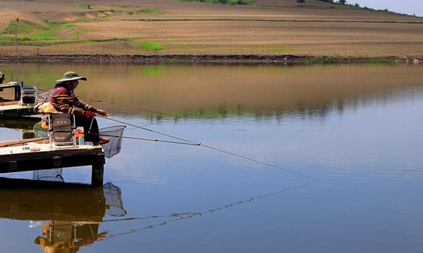 路亚新手鱼线入门教程,台钓新手入门鱼线篇