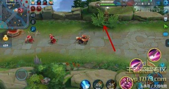 王者荣耀新赛季射手打法及思路,王者荣耀边路调整射手该走什么路