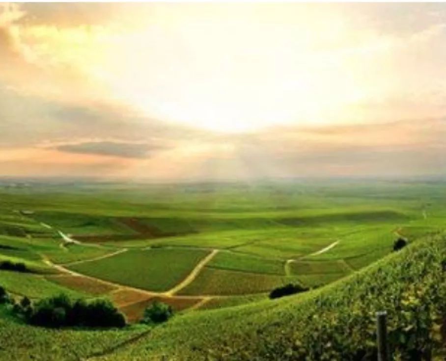 教皇新堡阿克努属于什么档次,教皇新堡属于什么档次