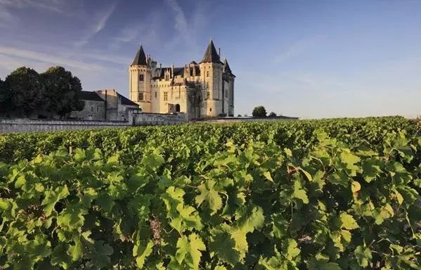 教皇新堡阿克努属于什么档次,教皇新堡属于什么档次