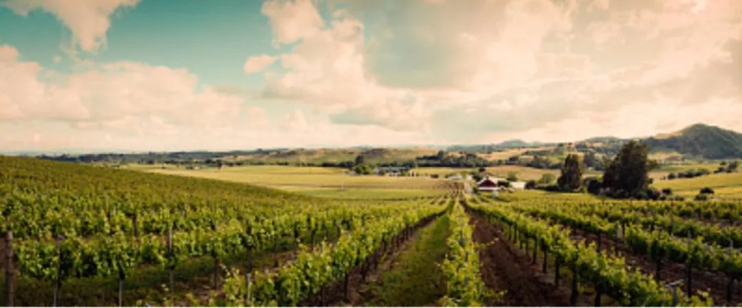 教皇新堡阿克努属于什么档次,教皇新堡属于什么档次