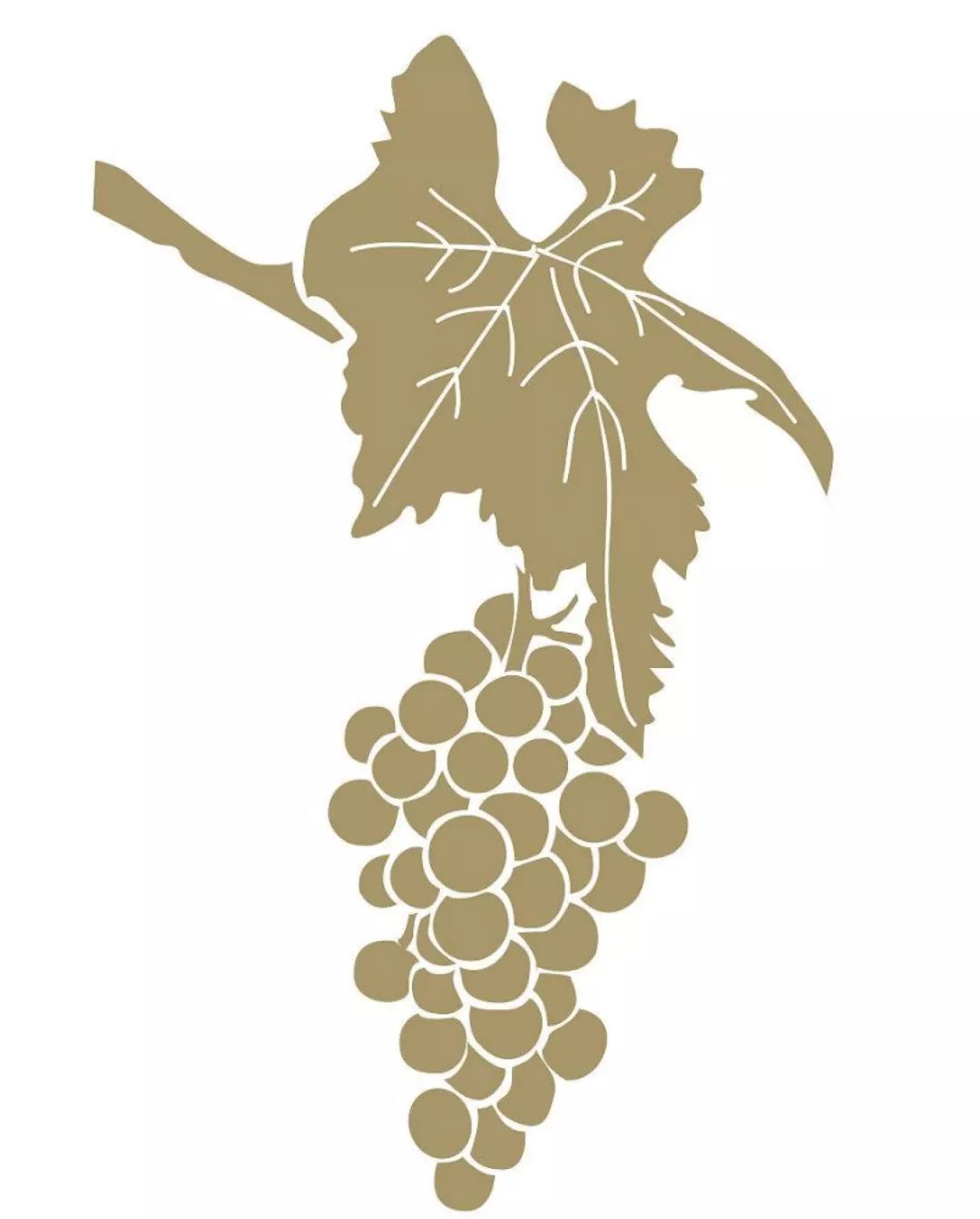 教皇新堡阿克努属于什么档次,教皇新堡属于什么档次