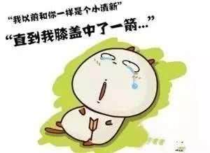 我敢打赌，尽管你语文成绩很好，这些网络词语却不见得都懂！