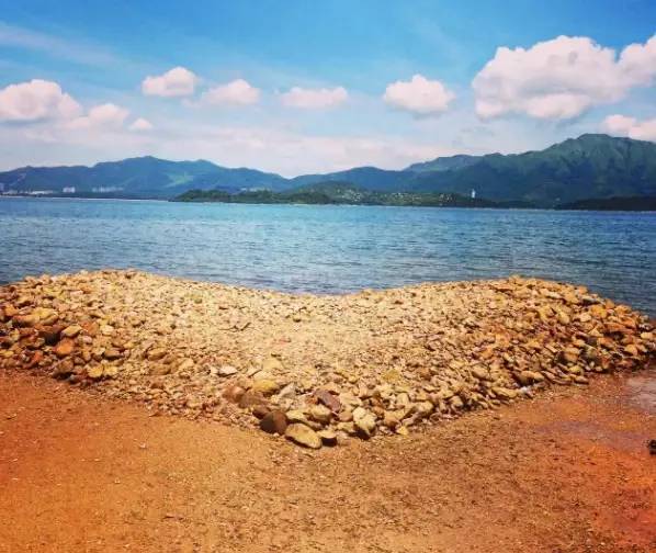 高铁郑州到香港西九龙如何过关,郑州直达香港西九龙高铁站