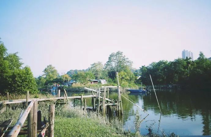 高铁郑州到香港西九龙如何过关,郑州直达香港西九龙高铁站