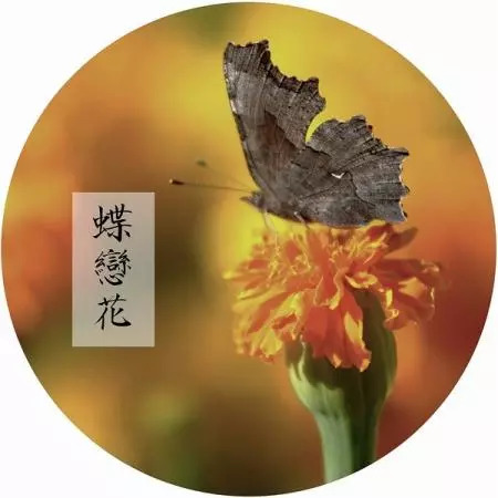 长相思西江月浣溪沙都是词牌名吗,浣溪沙词牌名古诗