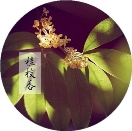 长相思西江月浣溪沙都是词牌名吗,浣溪沙词牌名古诗