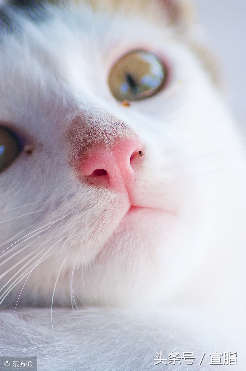 标准普通话全部拼音绕口令大全,普通话绕口令口才训练100首幼儿