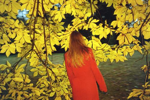 秀发没有头屑怎么治,洗发水修复干枯毛躁止痒去头屑