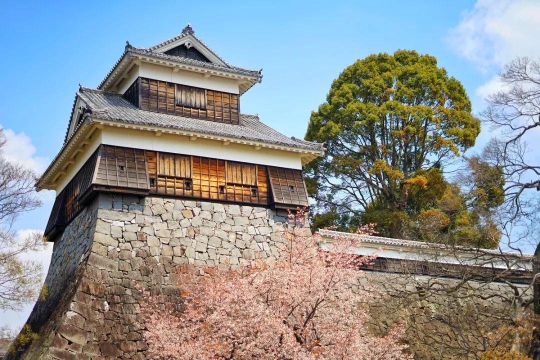 旅行达人排行榜100名,旅行推荐达人视频