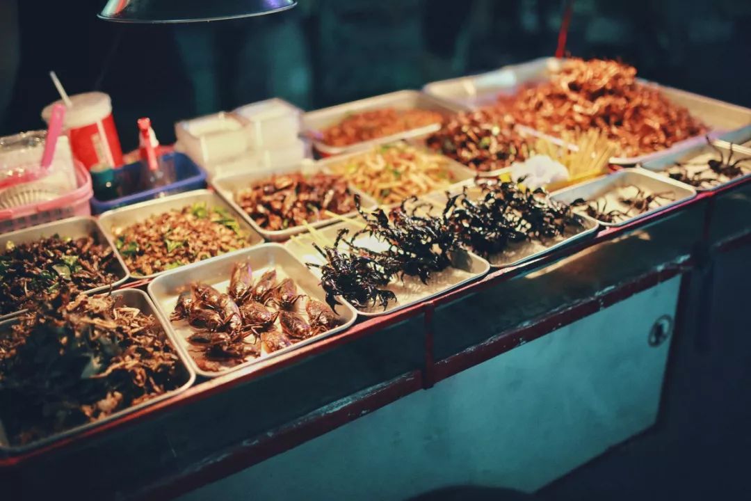 旅行达人排行榜100名,旅行推荐达人视频