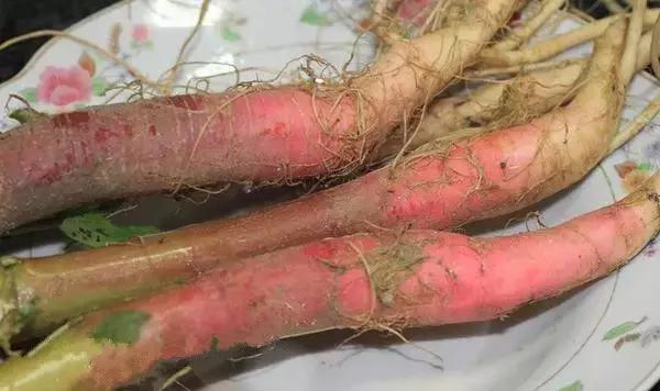 *江阳**人平时煲汤用的草药根，全都是宝贝！