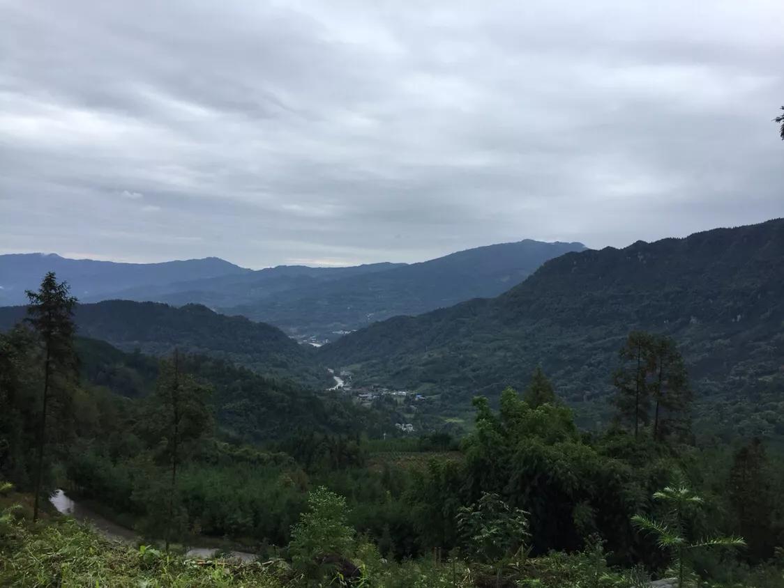 发现洪雅明代张可述《榛子寺碑记》