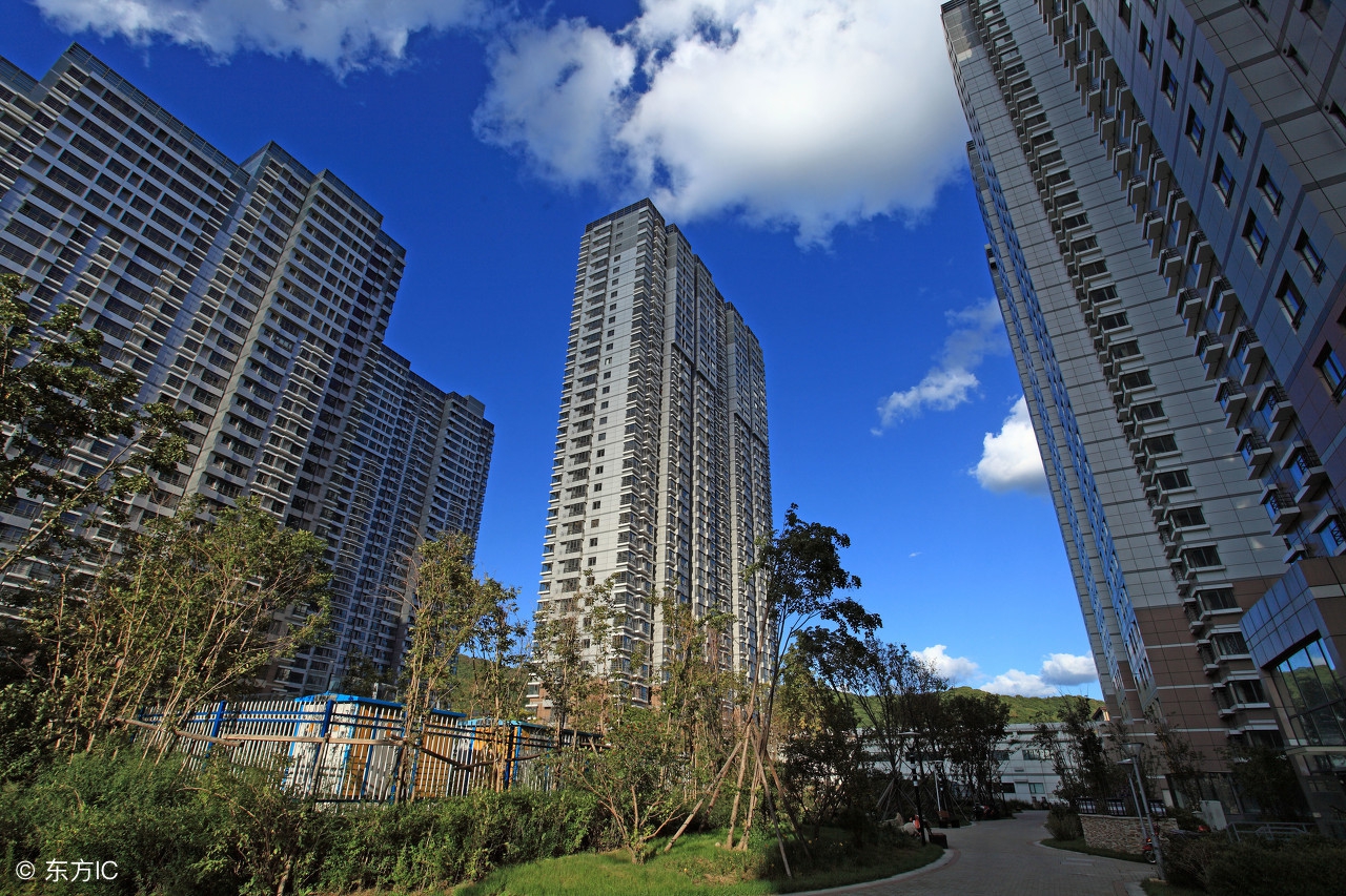 越来越多人喜欢买什么,越来越多人买一楼