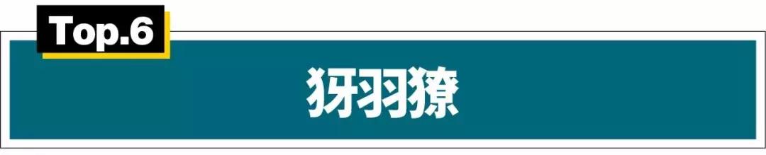 十大最热血动漫人物,盘点动漫人物的热血瞬间