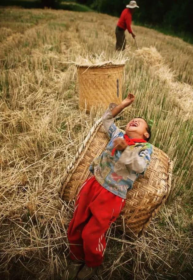 中国最美高速拉林公路,拉林高速为什么不收费