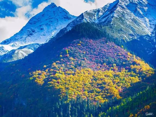 中国最美高速拉林公路,拉林高速为什么不收费