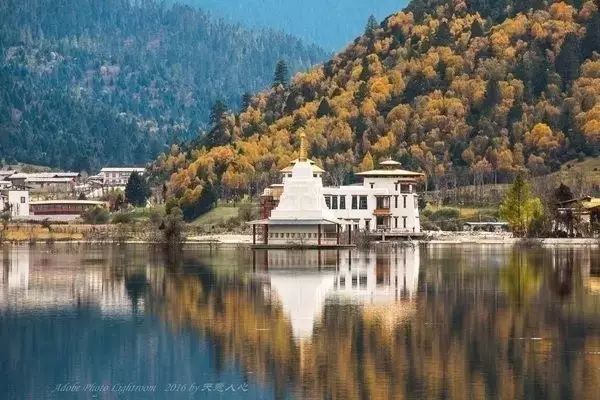 中国最美高速拉林公路,拉林高速为什么不收费