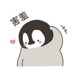 绝美南极,南极冰川美景企鹅