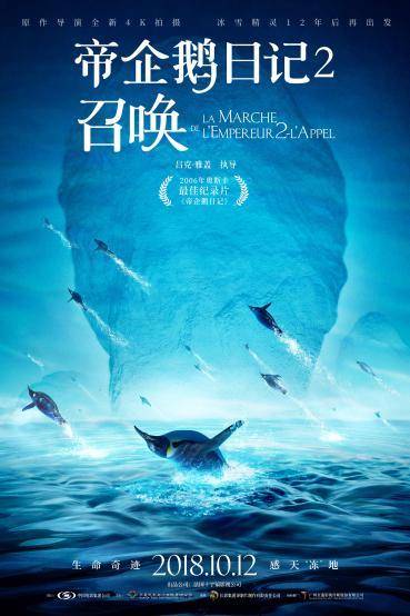 绝美南极,南极冰川美景企鹅