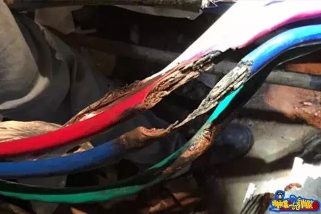 电表箱失火怎么救,电表起火应急措施方法