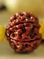 亮瞎你的眼视频,金刚菩提怎么刷亮