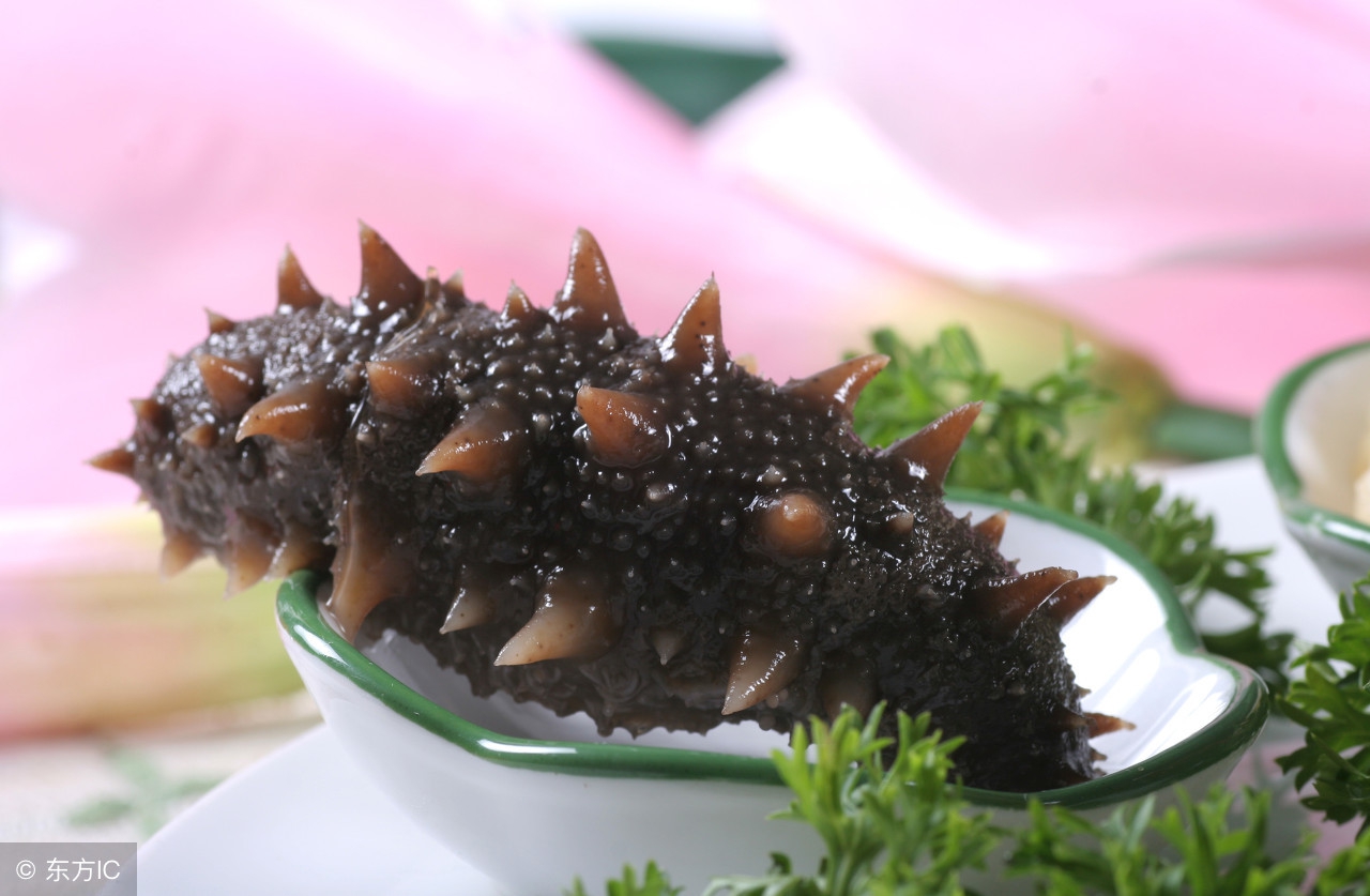 海参怎么泡发,海参的最新事件