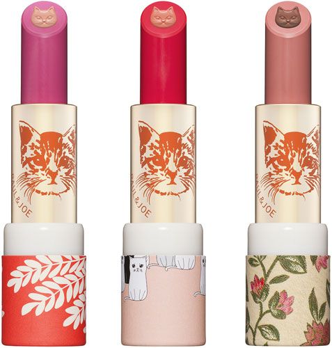 铲屎官必备的猫咪好物,铲屎官该怎么选猫咪产品