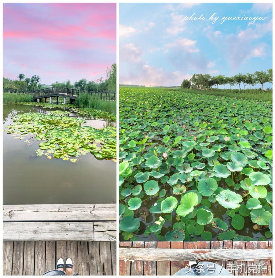 手机拍摄全景vr,手机拍摄360全景