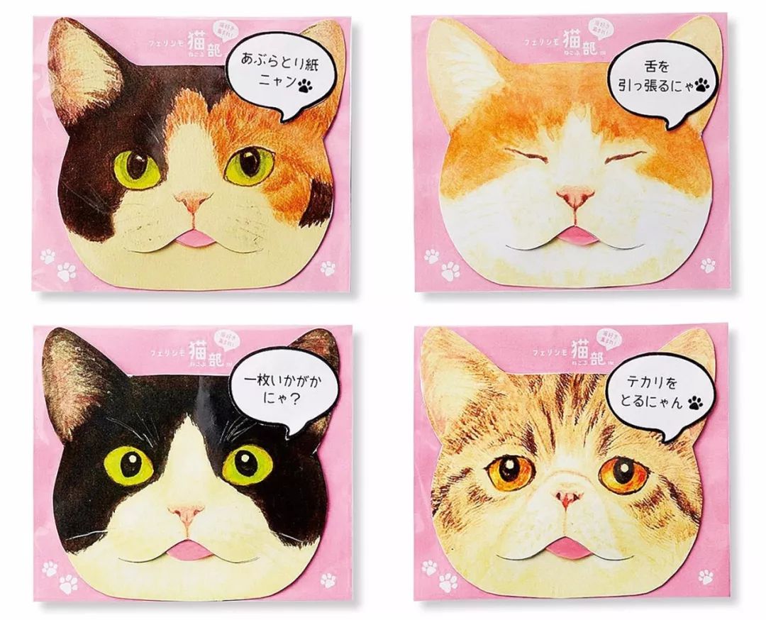 铲屎官必备的猫咪好物,铲屎官该怎么选猫咪产品