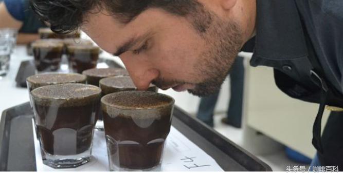 小白去咖啡店怎么点咖啡,小白怎样去操作咖啡店