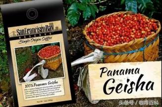 小白去咖啡店怎么点咖啡,小白怎样去操作咖啡店