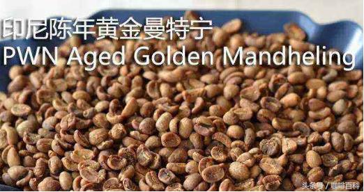 小白去咖啡店怎么点咖啡,小白怎样去操作咖啡店