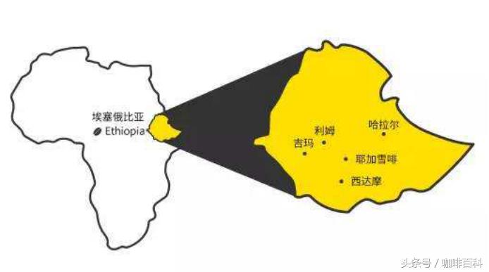 小白去咖啡店怎么点咖啡,小白怎样去操作咖啡店