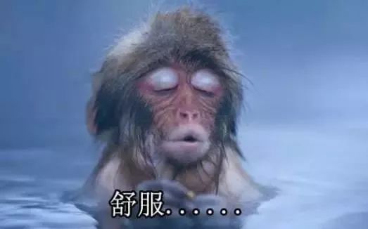 最新最全！天凉泡汤快收好这份广东真温泉名单，广州周边好多家