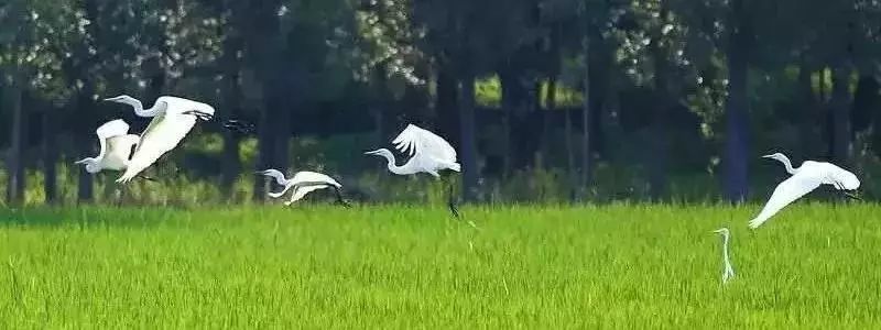 杭州游玩必去的地方全部,杭州旅游三日游最佳攻略地点推荐