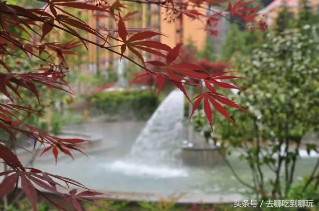 遵义市汇川区国际温泉团购票,汇川国际温泉城独立泡池