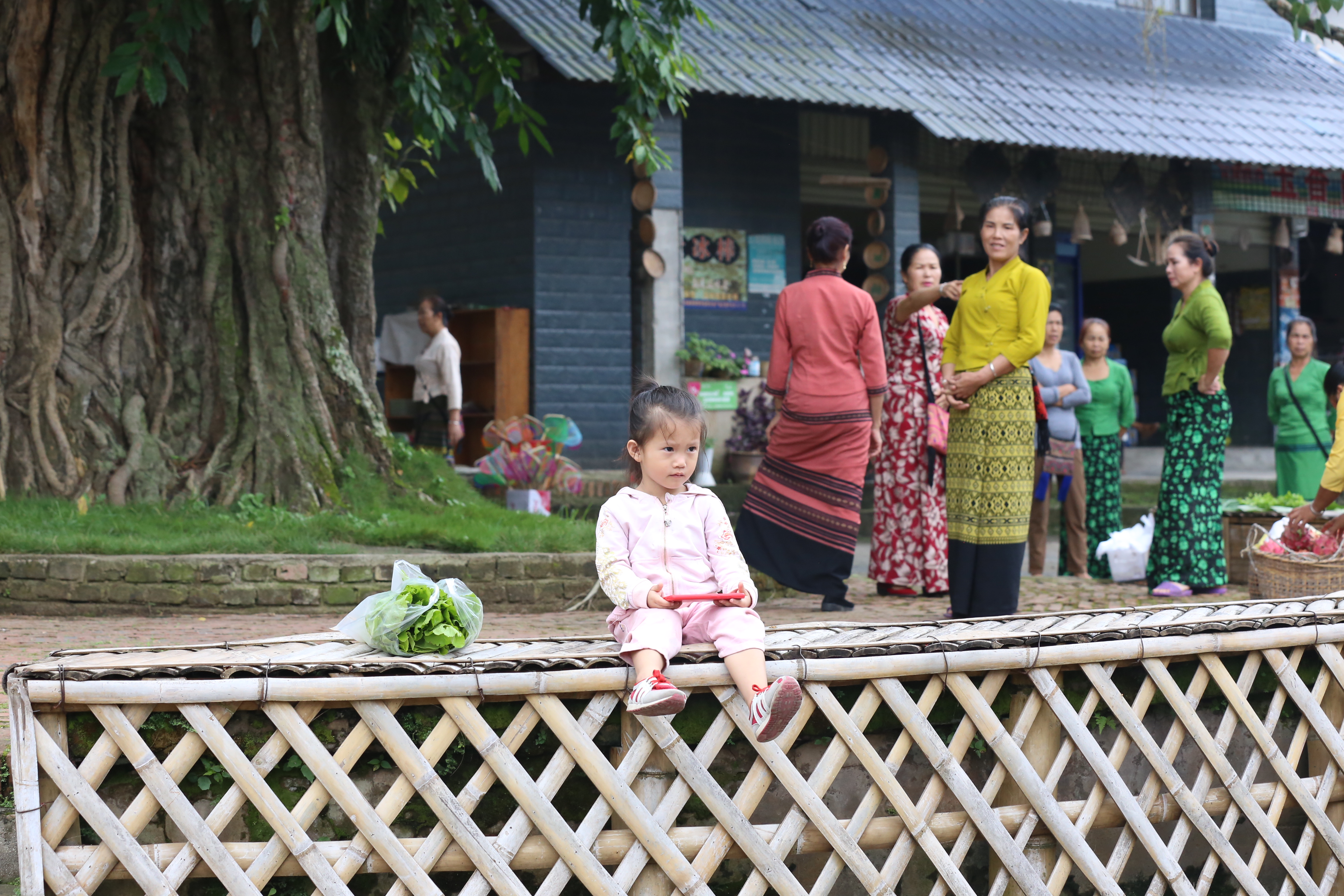 曼掌村，体验原汁原味的傣家风情