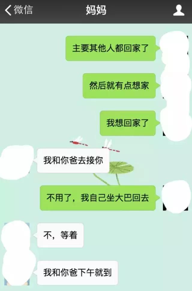 微信被爸妈拉黑,被爸妈拉黑的聊天记录