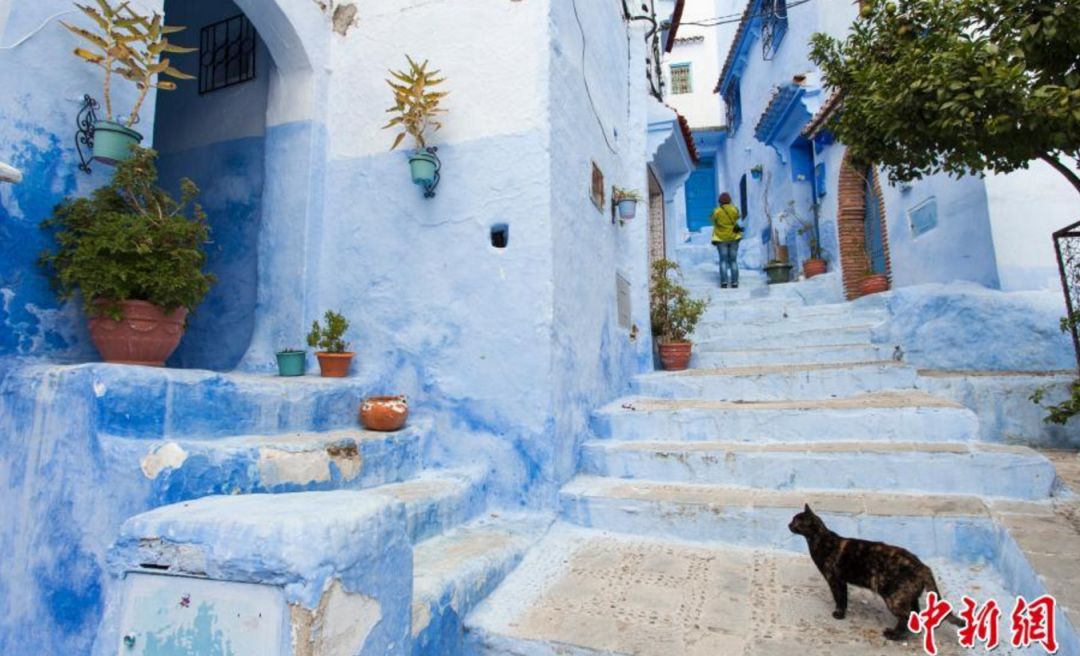 护照免签最好的方法,中国普通护照免签一览表