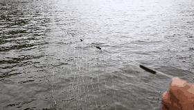 闈掔敯鏃呮父蹇呭幓鍗佸ぇ鏅偣,闈掔敯鏃呮父鍗佸ぇ蹇呭幓鏅偣