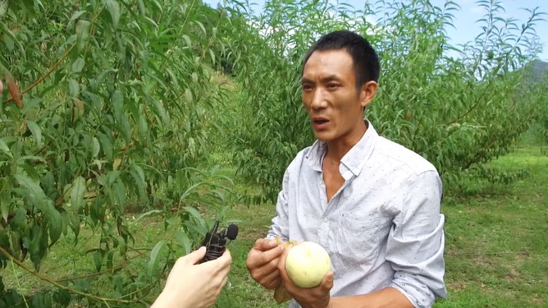 闈掔敯鏃呮父蹇呭幓鍗佸ぇ鏅偣,闈掔敯鏃呮父鍗佸ぇ蹇呭幓鏅偣