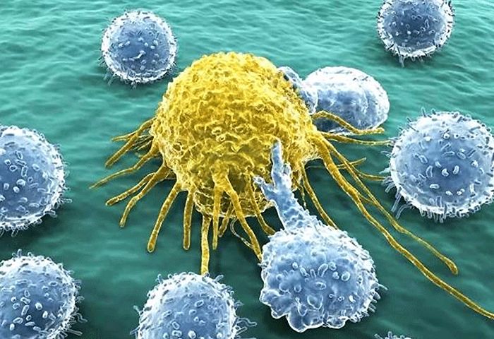 诺奖得主骗局揭秘,诺奖得主谈癌症治疗